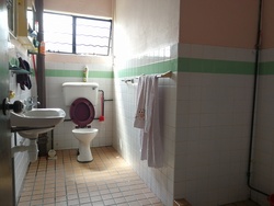 Happy Estate (D20), Semi-Detached #165503322